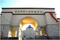 艺术学习资料