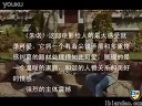 北京大成艺考教育中心编导专业影评《特别》