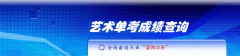 南京师范大学泰州学院2017年艺术类成绩查询